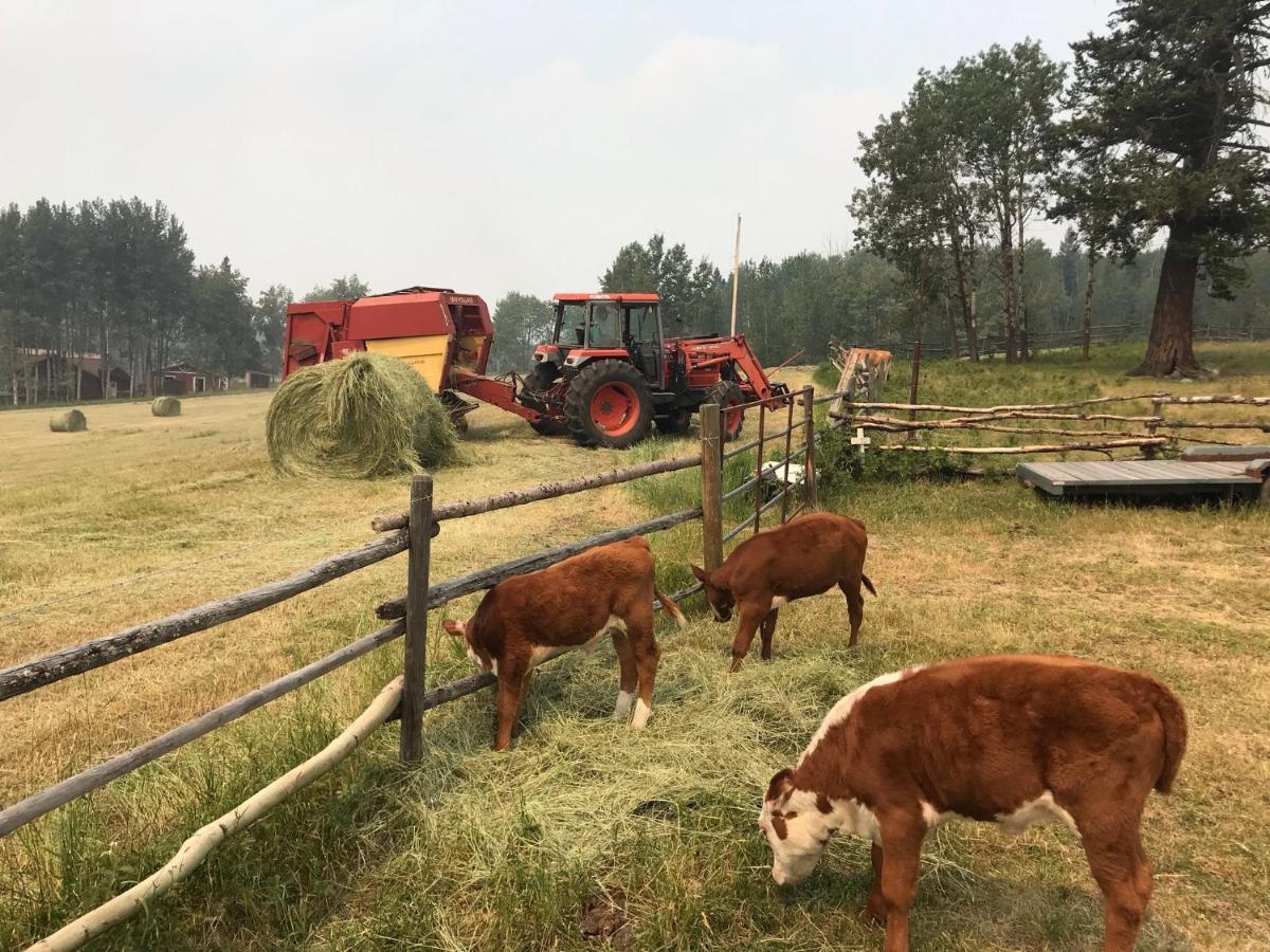 Montana Hill Guest Ranch Farm stay