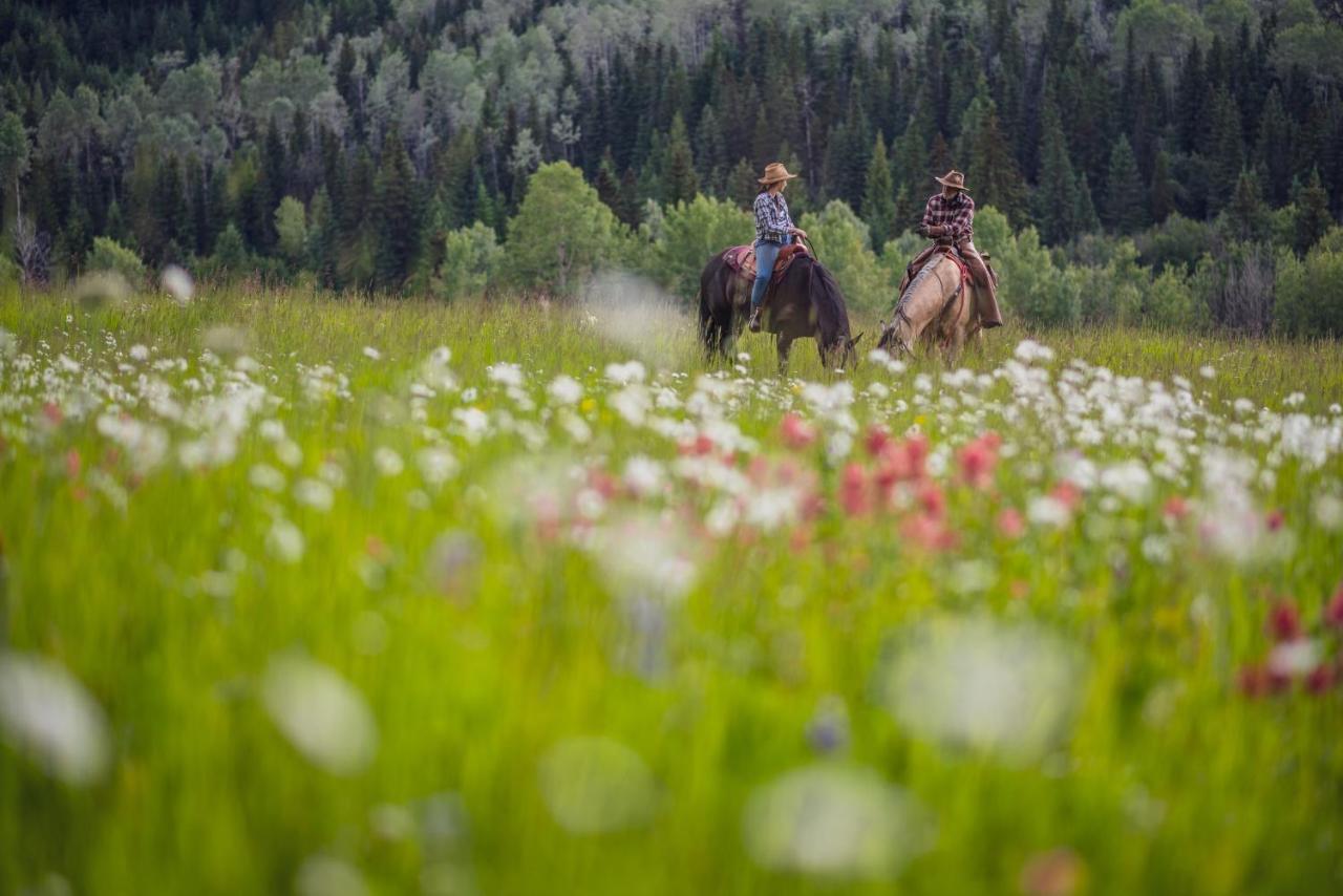 Farm stay Montana Hill Guest Ranch *