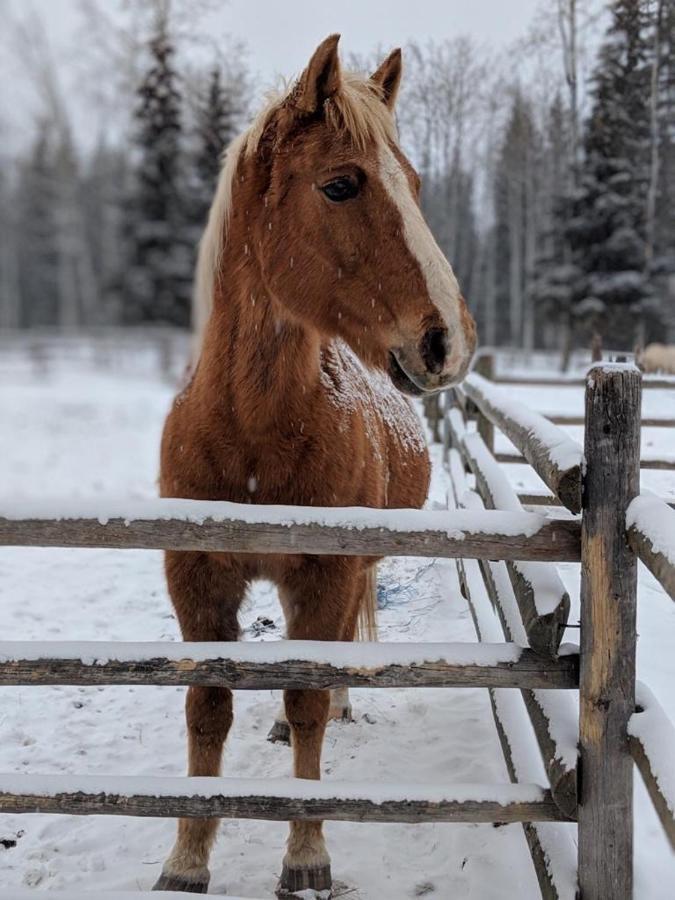 Montana Hill Guest Ranch * Bridge Lake