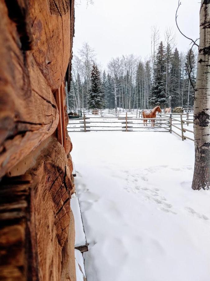 Montana Hill Guest Ranch * Bridge Lake