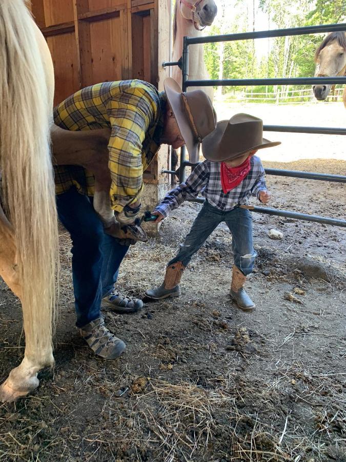 Montana Hill Guest Ranch * Bridge Lake