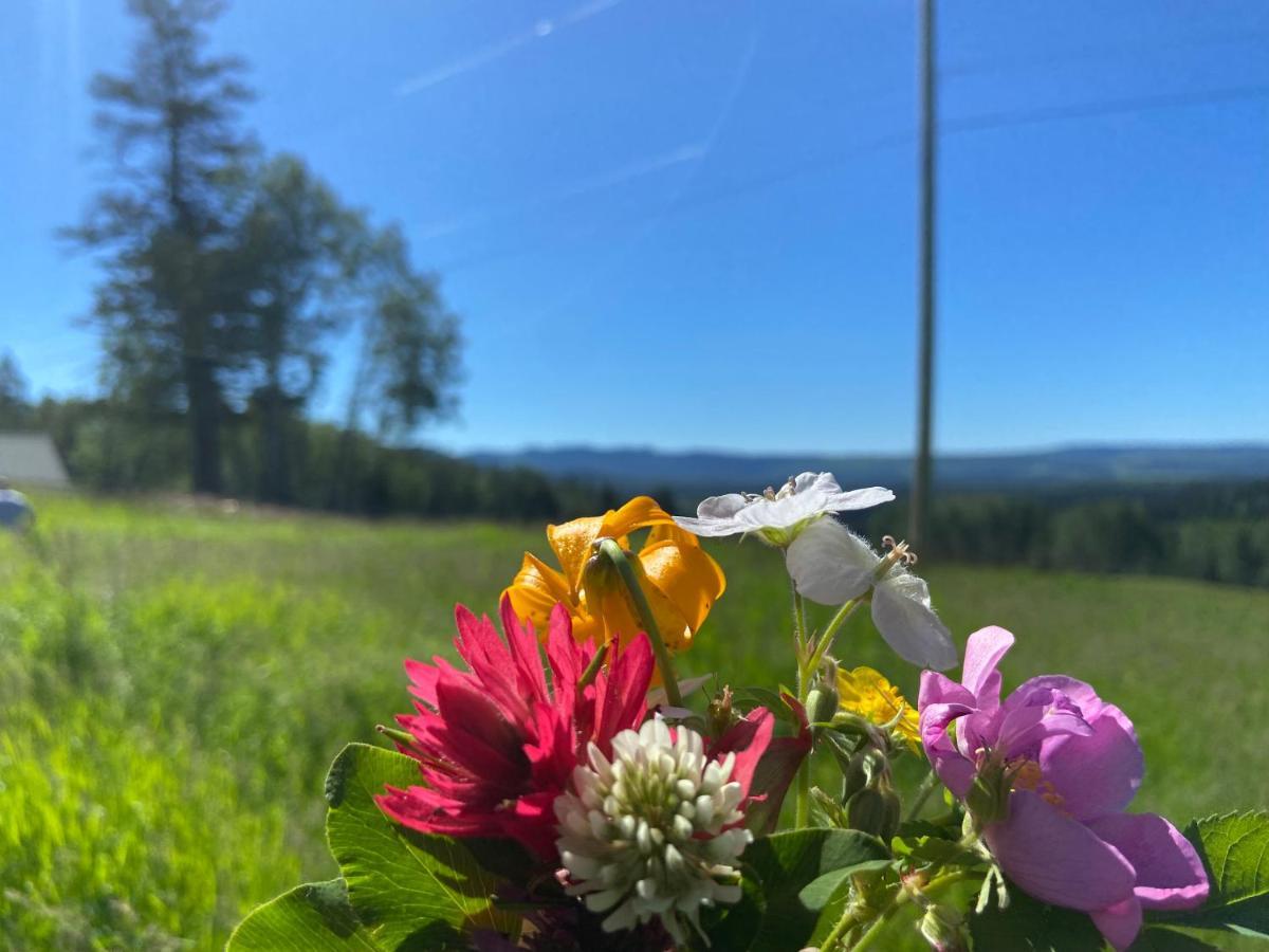 Farm stay Montana Hill Guest Ranch