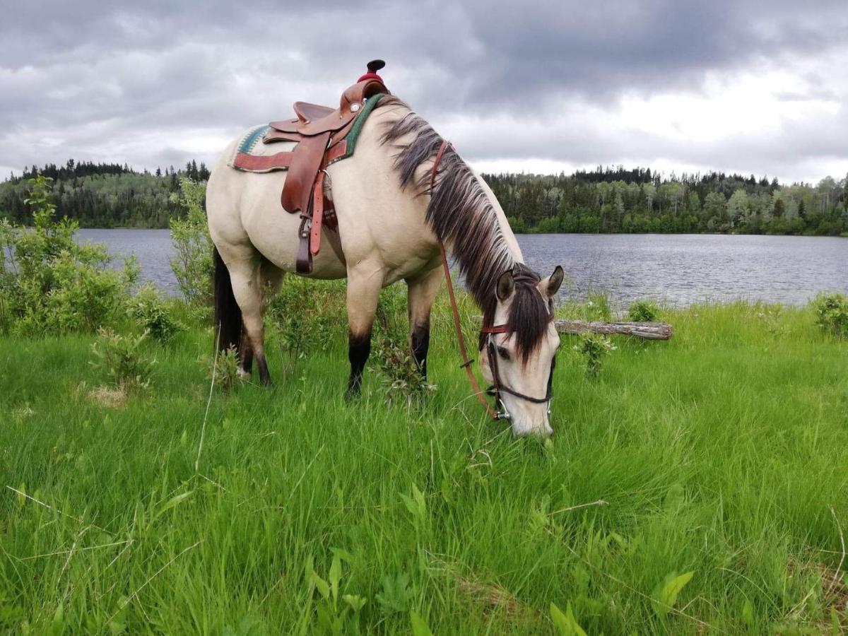 Montana Hill Guest Ranch *