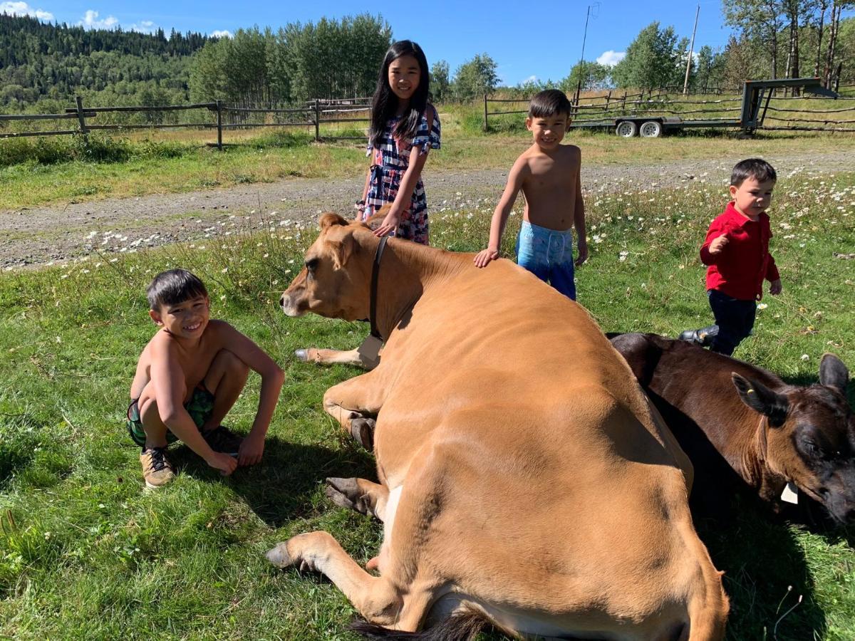 Montana Hill Guest Ranch * Bridge Lake